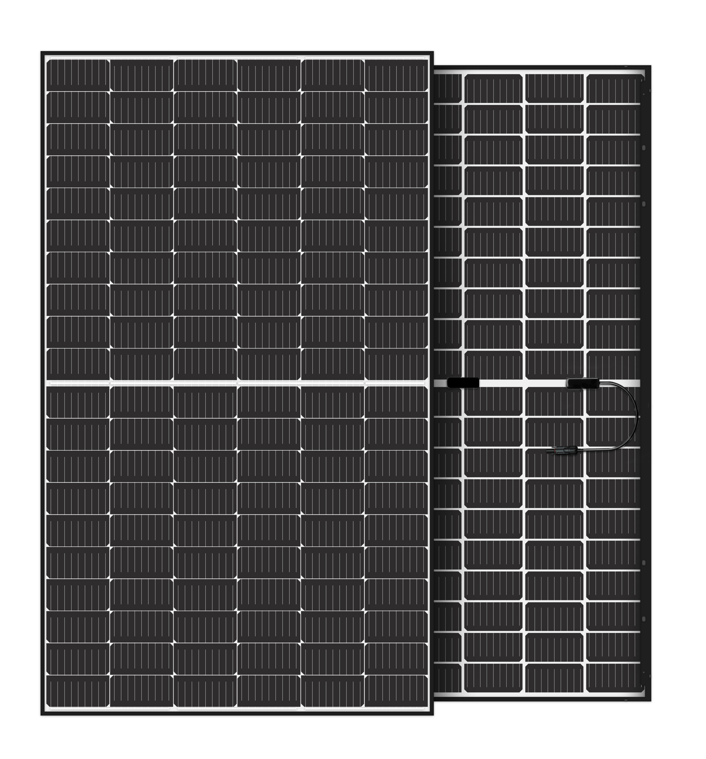 black frame and white back-3dmodel bifacial 166 60 type
